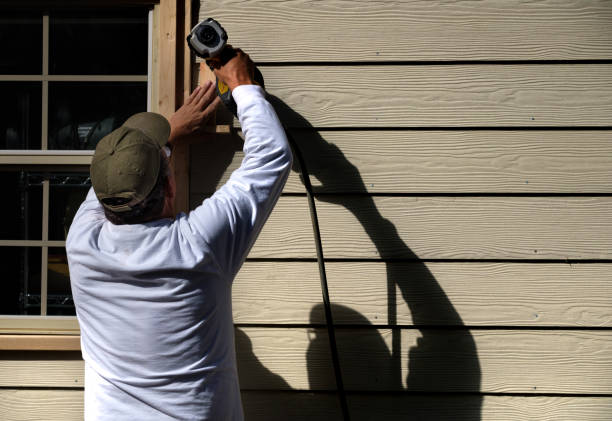 Best Stone Veneer Siding  in Verandah, FL